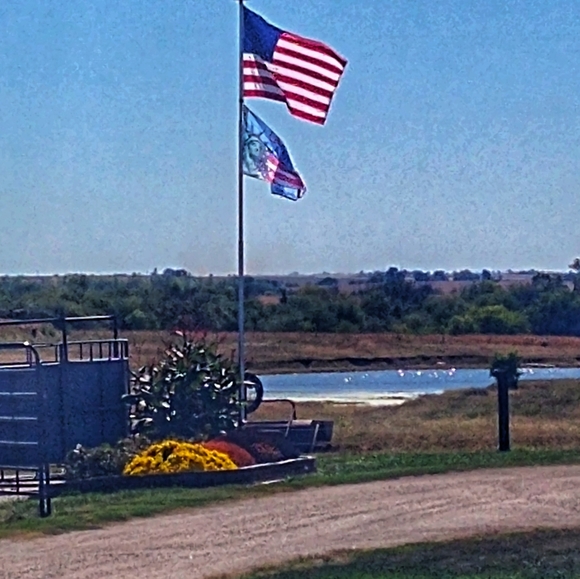 Meet your Posher, Karla - Picture 4 of 11